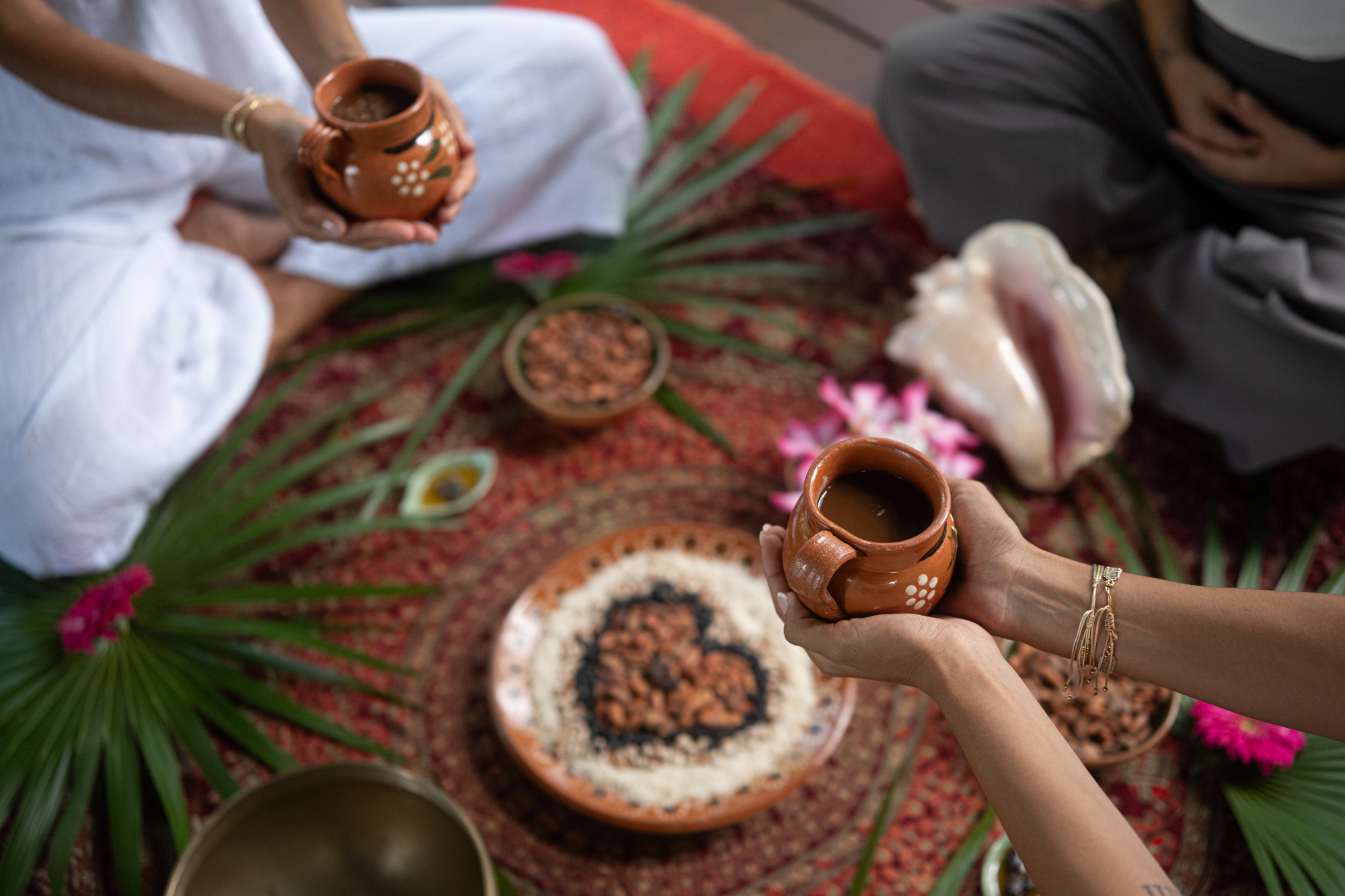 BTMXMY_BTCONNECTIONS_PROGRAMME_CACAO